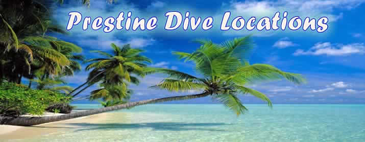 grand cayman diving