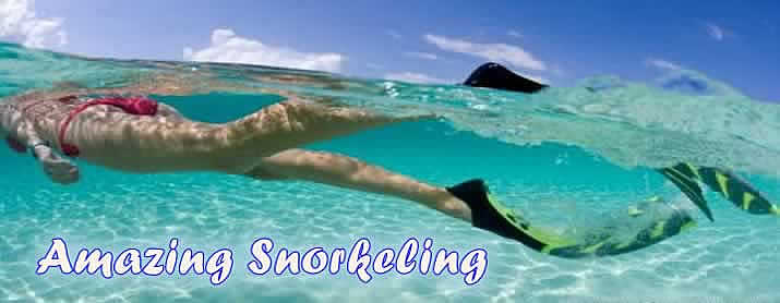 grand cayman diving