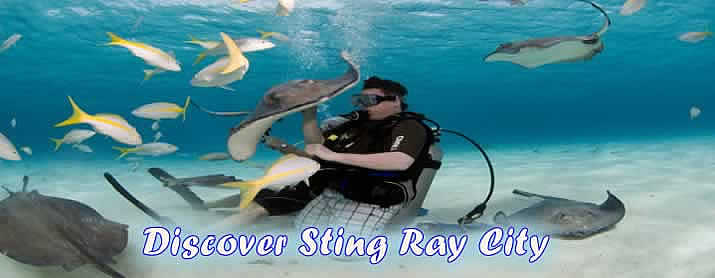 Dive Grand cayman 