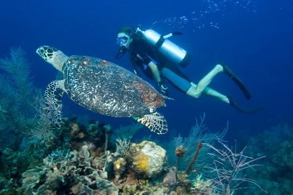  diving st thomas